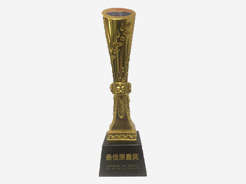 2017年度*佳质量奖杯